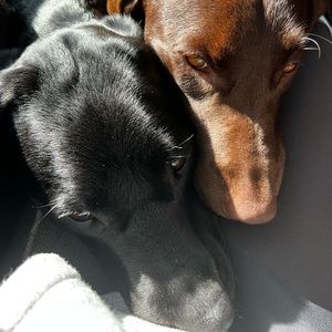 Meet your Posher, Jennie